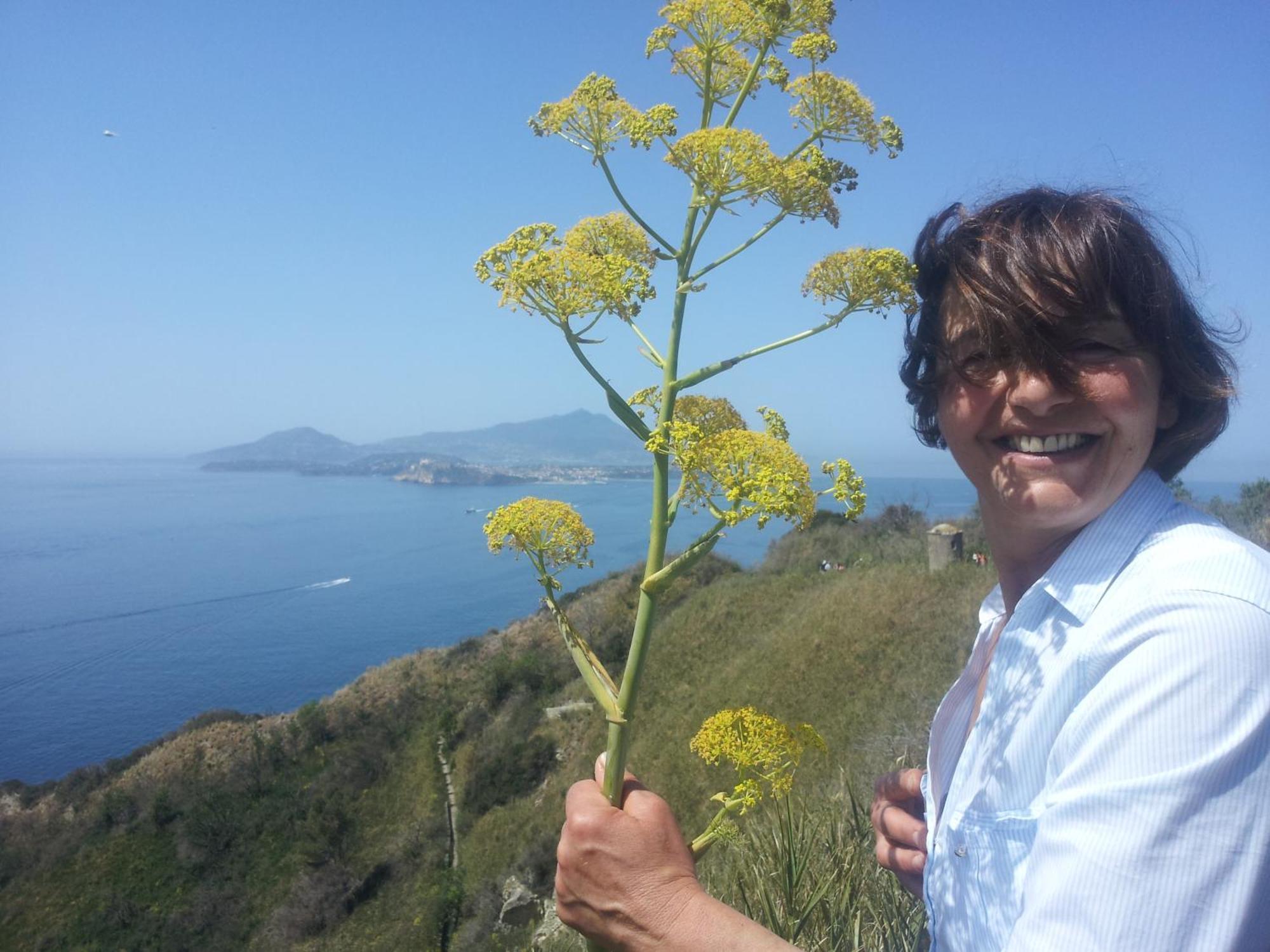 Mary'S Dream - Villa Overlooking Capri And Ischia In Sorrento Peninsula 마사루브렌세 외부 사진